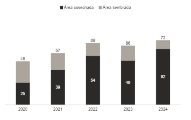 Área sembrada de aguacate Hass en Colombia (miles de Ha)