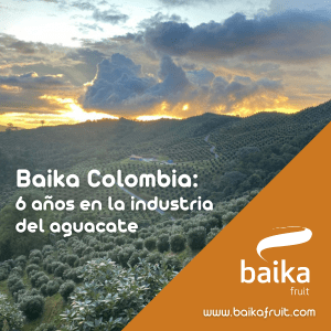 Baika en Colombia: 6 años en la industria del aguacate
