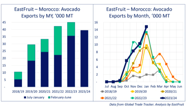 El aguacate marroquí con proyecciones récord para 2023/24