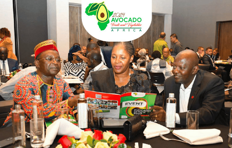 Avocado Fruits & Vegetables Africa 2024