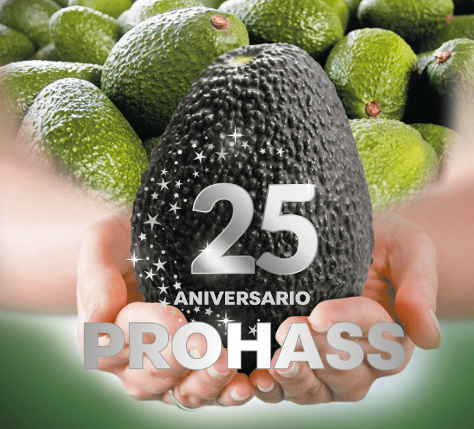 ProHass celebra 25 años de liderazgo en la industria de la palta Hass peruana