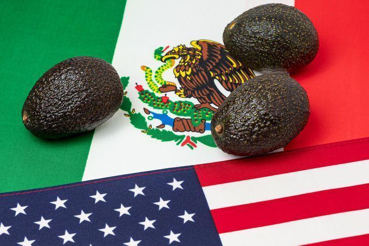 Los impactos de la suspensión de la importación de aguacate de México a Estados Unidos