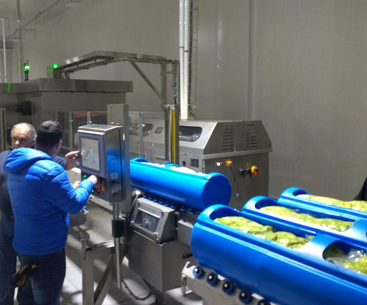 Cómo el aguacate procesado conquista Asia, Europa y América