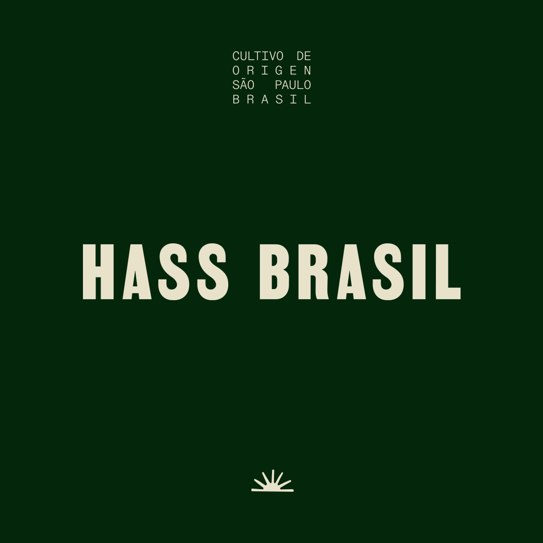 HassBrasil_v3_1080x1080