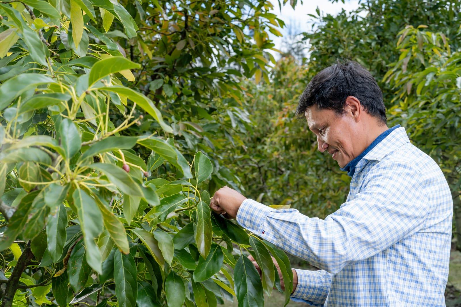 WhatsApp Image 2025-10-27 at 17.43.44