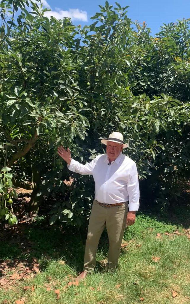 El proceso colectivo que construyó la base del Hass en Ecuador: visión y legado de Marcelo Reinoso