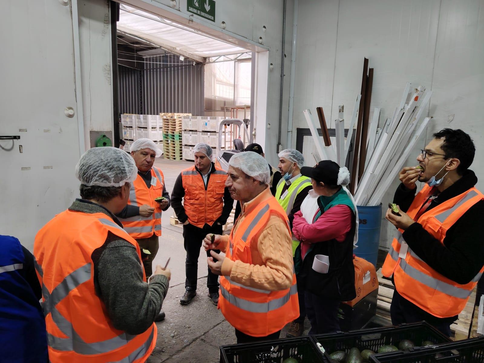 Baika_Planta San Felipe_2