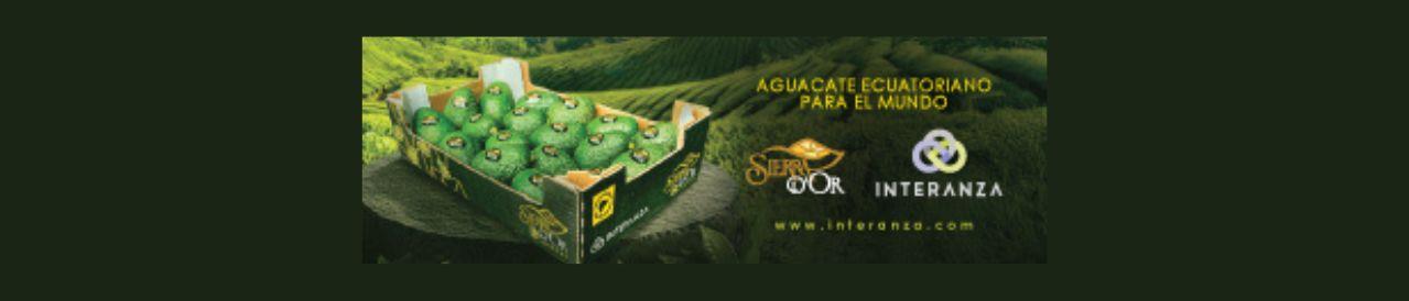 Diseño sin título (25)