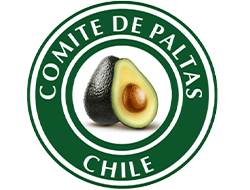 Logoactual - Fondo transparente-250x190