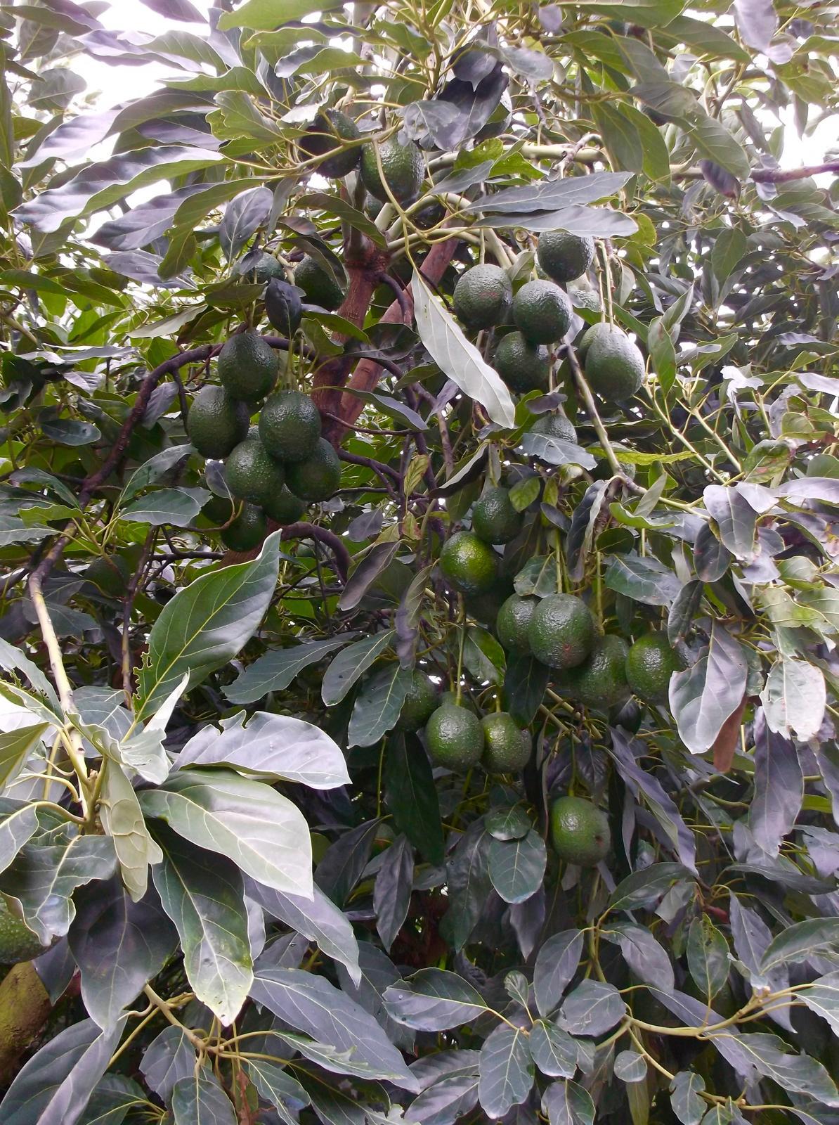 WhatsApp Image 2026-02-23 at 16.52.51 (2)