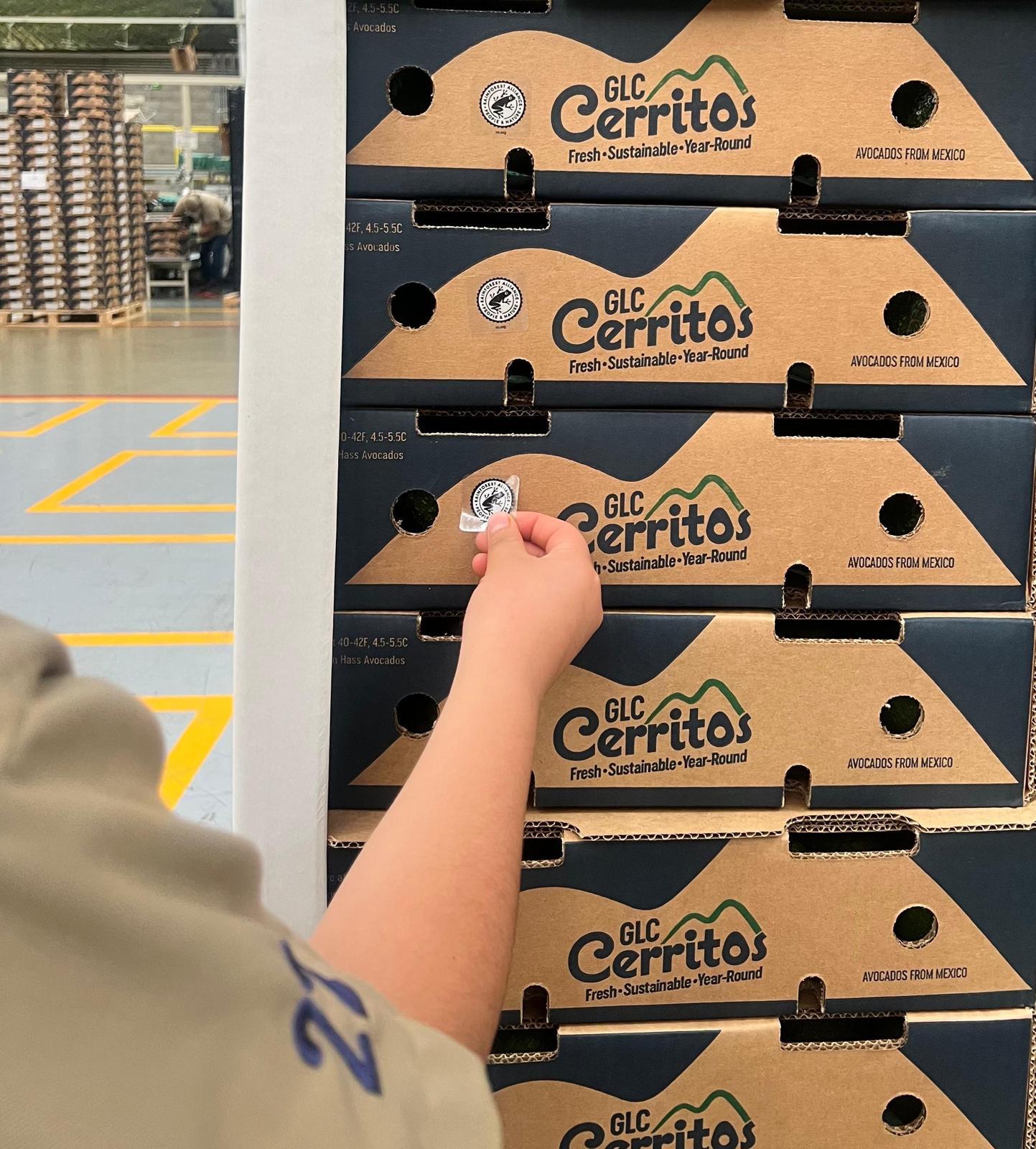 WhatsApp Image 2026-02-23 at 16.52.51 (3)