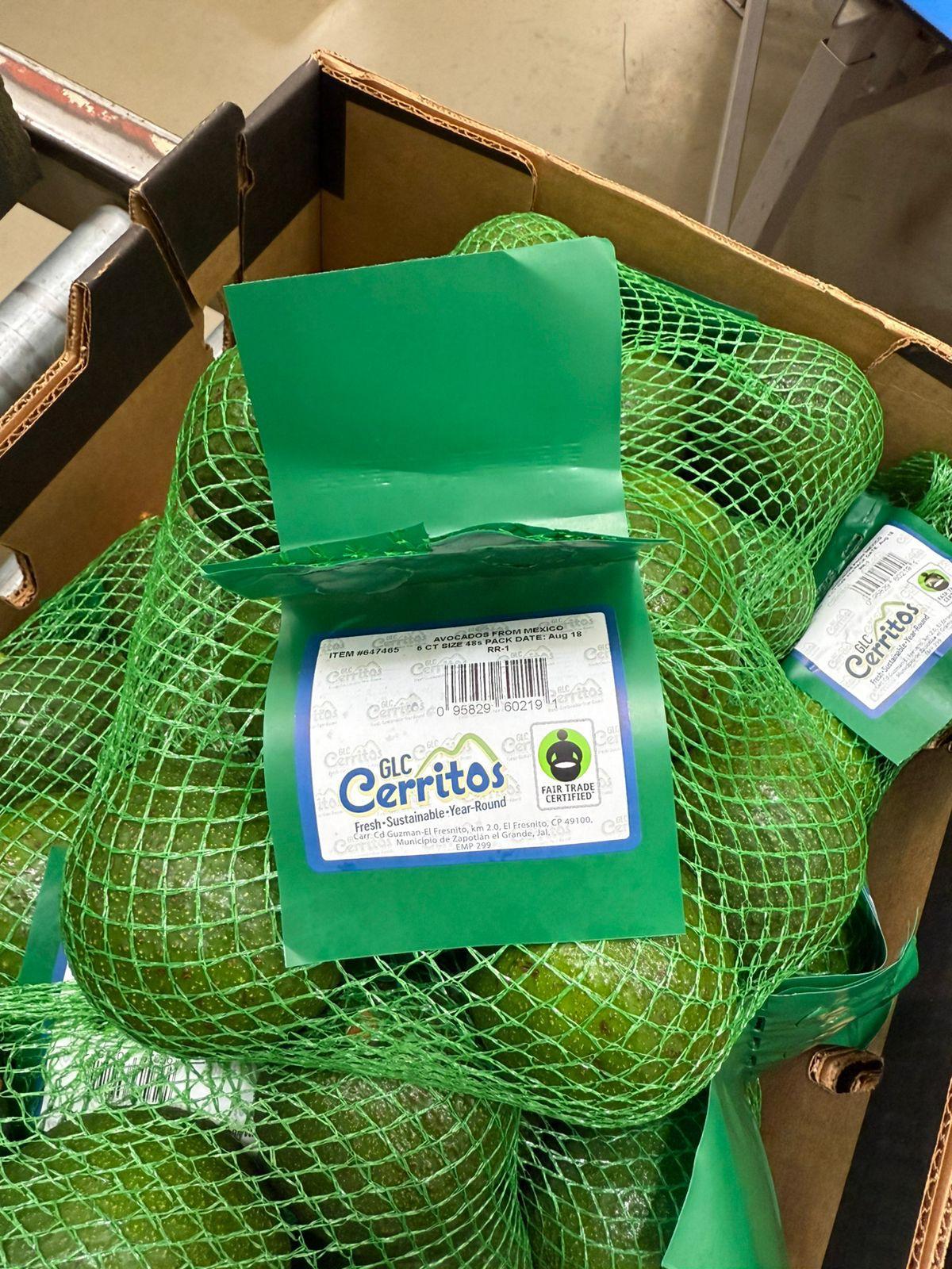 WhatsApp Image 2026-02-23 at 16.52.51