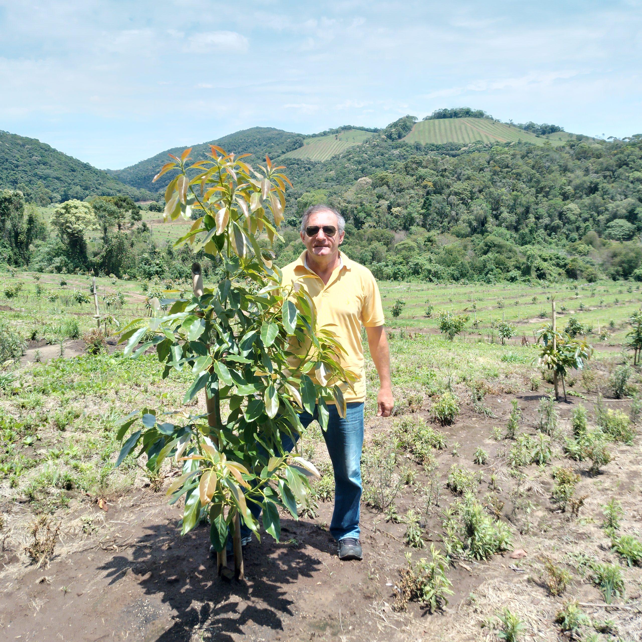 De 30.000 a 60.000 toneladas: ¿año excepcional para Brasil o nuevo estándar?